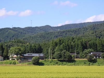 本社を移転しました。