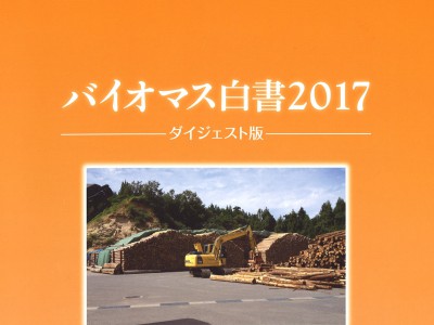 『バイオマス白書2017』に講演の様子が掲載されました。