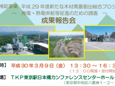 発電・熱電併給等促進のための調査成果報告会にて講演します。