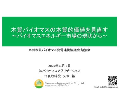 九州木質バイオマス発電連携協議会にて講演しました。